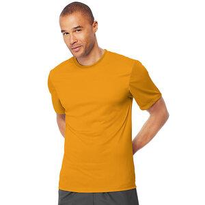 Hanes 4820 - Cool Dri® Short Sleeve Performance T-Shirt